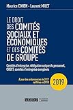 Le droit des comités sociaux et économiques et des comités de groupe (CSE): Comités d'entreprise by 
