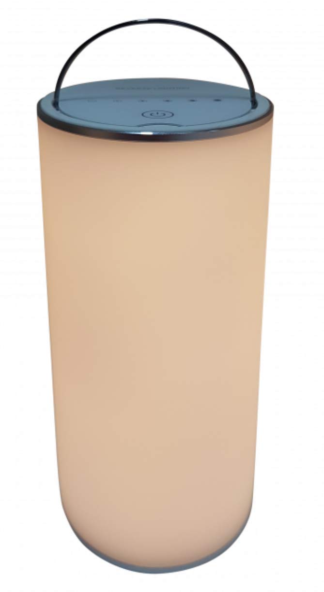 Native Lighting N3191 Reverse Lamp