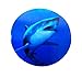 Shark Photo Realistic ROLL Sticker - Stationery - 1 Piece