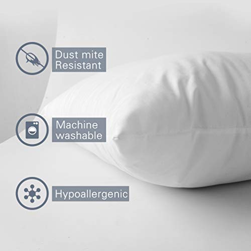 1 Edow+Hypoallergenic+Alternative+Polyester+Decorative
