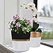 LA JOLIE MUSE Ceramic Modern Flower Pots Indoor – 5.5 Inch Pack 2 Round & Square Herb Orchid Cactus Succulent Planter Pots with Drainage Hole and Gold Detailing