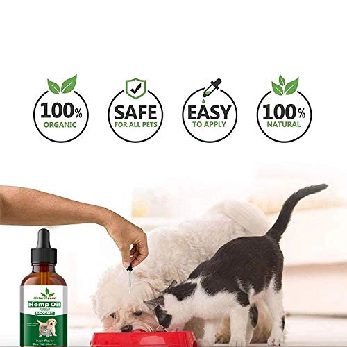 Terrific Cbd For Cats Joint Pain Photos
