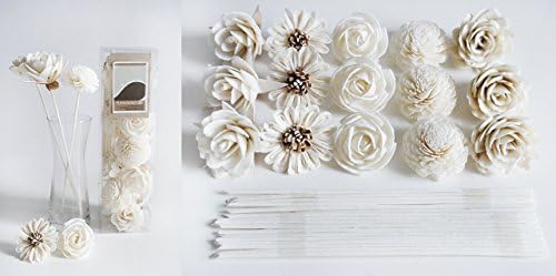 DIY 15 Mixed Sola Flower with Reed Diffuser Stick for Home Fragrance by Plawanature.