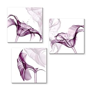 Canvas Wall Art Transparent Beautiful Flowers...