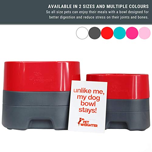 PET WEIGHTER Raised Dog Bowl Weighted Dog Bowl or Cat Bowl, No Spill