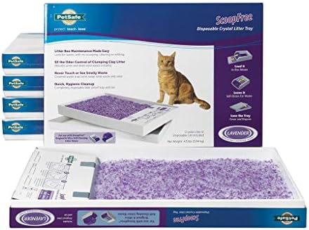 scoopfree self cleaning litter box refills