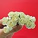 144 X Chic Mini Artificial Paper Rose Flower Wedding Card Decor Craft (Ivory)