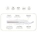 StyleCraft Shmedium Palm-Size Professional Travel Iron - Universal Voltage and Super Long Full-Size Plates (White)