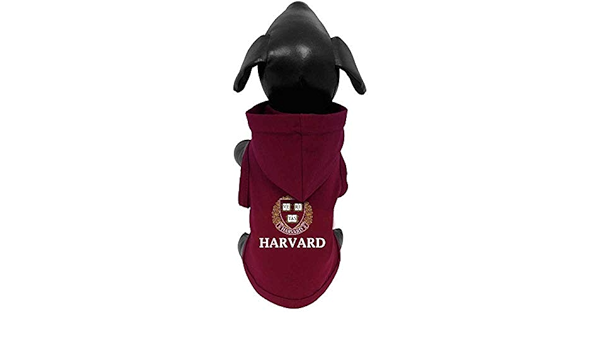 harvard dog sweater