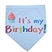 PUPTECK Dog Birthday Bandana Scarf with Cute Doggy Party Hat, Costume Decorations Supplies for Small Medium Large Dogs Boy Girl Outfit Gifts, Blue