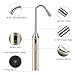 Holycowh Butane Lighter Refillable Lighter Flexible Long Neck Lighter Adjustable Jet Flame Torch Lighter for Grill BBQ Gas Fireplace Fire(Butane Fuel Not Included), Gold
