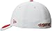NFL San Francisco 49ers 2015 39Thirty Stretch Fit Cap, Small/Medium, Gray