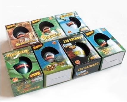 Growing Tortoise Egg /Magic Hatch & Grow Egg/ Growing Pet/ Novel Toy for Children by LF Star