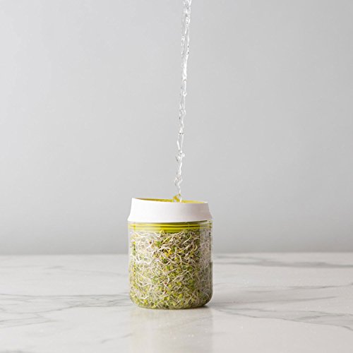 Chef'n 102-742-390 Countertop Sprouter Growing Kit, One Size, Backing White/Wasabi/Glass