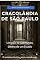 Livro Cracolândia De São Paulo E Sua Essência