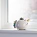Smoko Elodie Succulent Pot | Cute Kawaii Ceramic Planter | Pencil Cup | Accessory Container | Toothbrush Jar