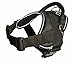 Dean and Tyler DT Dog Harness, Black with Reflective Trim, Large - Fits Girth Size: 32-Inch to 42-Inch