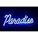 Neon Signs Blue Paradise Beer Bar Bedroom Neon Light Handmade Glass Neon Lights Sign for Bedroom Office Hotel Pub Cafe Recreation Room Wall Decor Night Light(14
