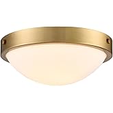 DEYNITE Gold Flush Mount Ceiling Light Milk Glass Shade Ceiling Light Fixture Farmhouse 2-Light Modern Black Glass Flush Moun