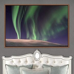 signwin Framed Canvas Wall Art Dayspring Astronomy &...