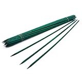 Royal Imports 12" Green Wood Plant Stake, Floral Picks, Roasting Sticks, Wooden Sign Posting Garden Sticks (25 Pcs)