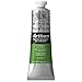 Winsor & Newton Artisan Water Mixable Oil Colour, 1.25-oz (37ml), Permanent Sap Green