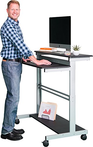48" Shelves Mobile Ergonomic Stand Up Desk Computer Workstation (Black
Shelves / Silver Frame) …