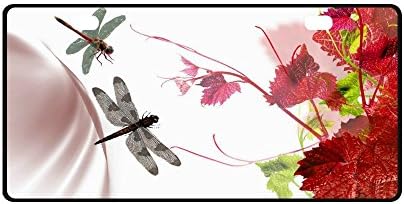 Durable Metal License Plate Frame for Women/Men Novelty Christmas/Thanksgiving Gifts Beautiful Dragonfly Two Holes Car Tag (New) 11.8 X 6.1 inches