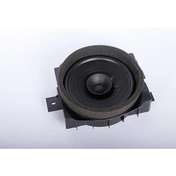 Amazon.com: GM Genuine Parts 25858091 Rear Side Door Speaker 