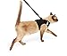 TSA Fast Pass Metal Free Leash Harness Designed for Small Pets who fit underseat of Airplane (L3)