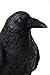 Top Collection Raven Perched on Branch Statue - Collectible Hand Painted Crow Sculpture with Key - 6.25-inch Decorative Figurine
