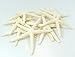 Starfish Decor - Star Fish for Craft - 10pk Real 3-4