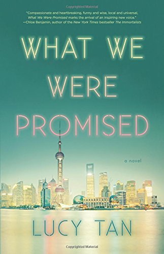 What We Were Promised