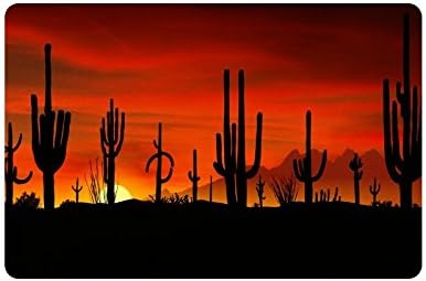 Desert Cactus Doormat Entrance Mat Floor Mat Rug Indoor/Outdoor/Front Door/Bathroom Mats Rubber Non Slip Size 23.6 x 15.7 inches