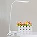 BOYON Portable Clamp on Touch LED Desk Lamp LED Reading Lamp - Computer Keyboard Partner - Brightness Adjusted Minimalist Style USB-Powered
