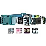 Dog Collar with Pattern designed by Friends Forever (Medium, Tribal Teal)