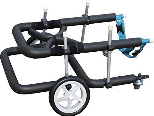 犬用車椅子 歩行器 小型犬用 オーダーメイド 4輪タイプ 前後足用 室内 歩行補助 Mダックス Tプードル