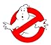 Rubie's Ghostbusters 15.5-Inch Wall Decor, No Ghosts