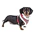 Puppia Authentic Rudolph Harness A, Medium, Checkered Red