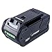 Lasica GreenWorks 29472 G-MAX 40V 5000mAh Li-Ion Battery Replacement for GreenWorks G-MAX 40V Cordless Tools 21332 25302 20312 20302 24312 22332 20292 22342 GreenWorks 40v Battery 29472 29462 L-600