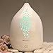SpaRoom Galaxy Ultrasonic Essential Oil Diffuser, 1.15 Pound