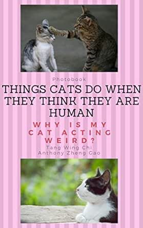 Cat Book For Kids And Adults Why Is My Cat Acting Weird Things Cats Do When They Think They Are Human Photo Book Volume 1 Kindle Edition By Wing Chi