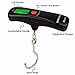 Luggage scale 110lb, 2 Battery, 1 Waterproof Bag, Digital Luggage Travel Scale Weigh Suitcases Hand Luggage Bags Cases Black (STEEL HOOK）