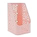 Saim Plastic Hollow Pattern Desktop Organizer Storage Box, Letter Size File or Smaller Magazines Holder Desk Storage Container
