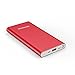 Portable Charger 10000mAh Lightning & Micro-USB Input Power Bank External Battery Pack BENANNA S1 for iPhone X 8 7 6 5 Plus iPad Android Cell Phone Samsung Galaxy Note LG Gopro And More - Red