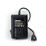 LiteFuze LC-500US 500Watt Step Up/Down Travel Voltage Converter, US Cord