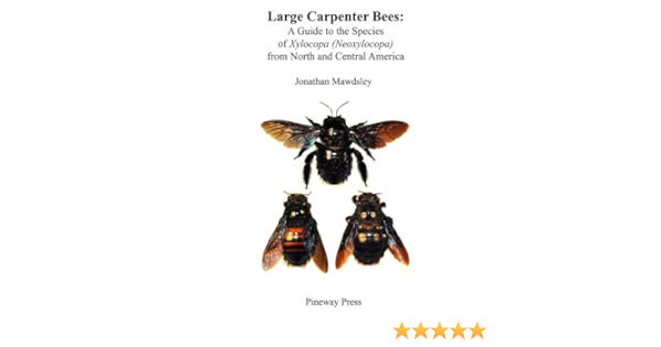Amazon Com Large Carpenter Bees A Guide To Species Of Xylocopa Neoxylocopa From North And Central America Mawdsley Jonathan Books