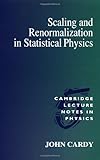 Scaling and Renormalization in Statistical Physics (Cambridge Lecture Notes in Physics)