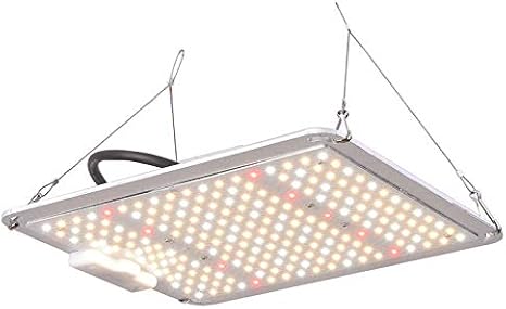 luci a led crescono piante
