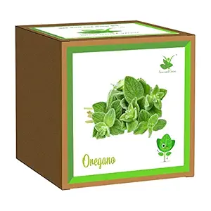 Sow and Grow DIY Gardening Kit of Oregano for Home and Garden Grow it Yourself Kit | Best Suited for temperatures 15-25 Degrees || Eco Friendly Sustainable Gift and for Kitchen Garden